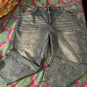 Terra & Sky Jeans Size 2X
